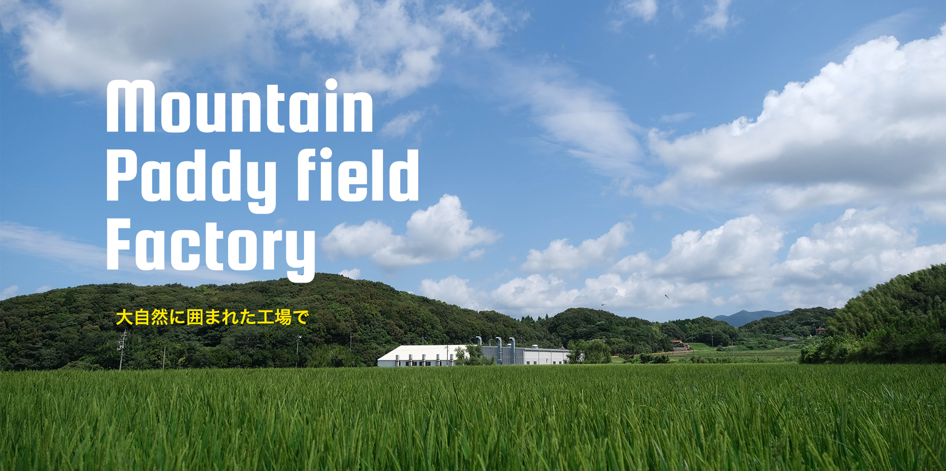 Mountain Paddy field Factory 大自然に囲まれた工場で